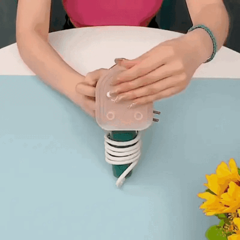 Mini Steam Iron – Portable for Travel + Quick Home Fix